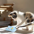 Dorakitten Catnip Toys for Indoor Cats - 5PCS Plush Chew Toys Teething Interactive Catnip Filled
