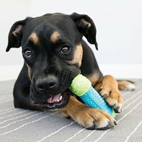 (Pack 2) KONG CoreStrength Bone - Dog Dental Chew Toy - Durable, Multi-Layered Dog Toy for Enrichment Play & Dental