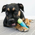 (Pack 2) KONG CoreStrength Bone - Dog Dental Chew Toy - Durable, Multi-Layered Dog Toy for Enrichment Play & Dental