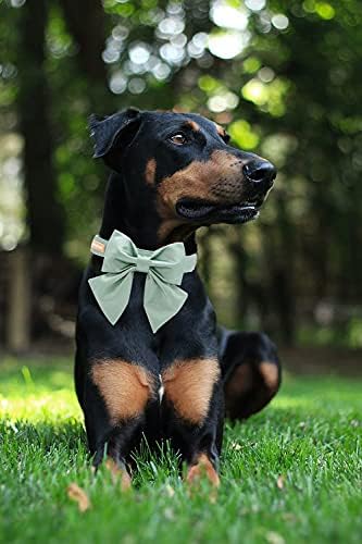 Unique Style Paws Silk Green Dog Collar, Adjustable Durable Collar with Bowtie for Medium Dogs