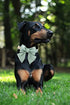 Unique Style Paws Silk Green Dog Collar, Adjustable Durable Collar with Bowtie for Medium Dogs