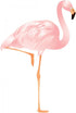 Wallmonkeys Flamingo Vector Wall Decal, Peel and Stick Animal Graphics (24 in H x 16 in W) WM304477