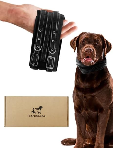 Tactical Dog Collar for Large Dogs | 9mm Thick with Handle | 4" Extra Wide with GPS & Leash Option | Metal Buckle Nylon