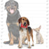 2-in-1 Pack #4) TUFFY - World's Tuffest Soft Dog Toy - Funny Food- Toy -Multiple Layers. Made Durable, Strong & Tough.