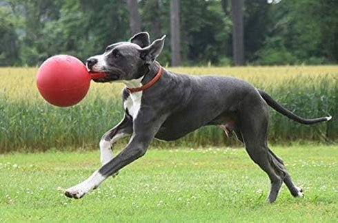 Tug N Toss Jolly Balls - 6in Assorted Colors