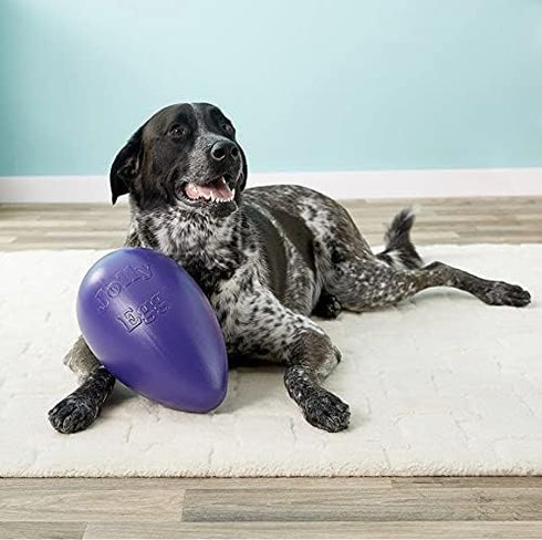 Jolly Pets Jolly Egg Dog Toy, 12 Inches, Large, Purple