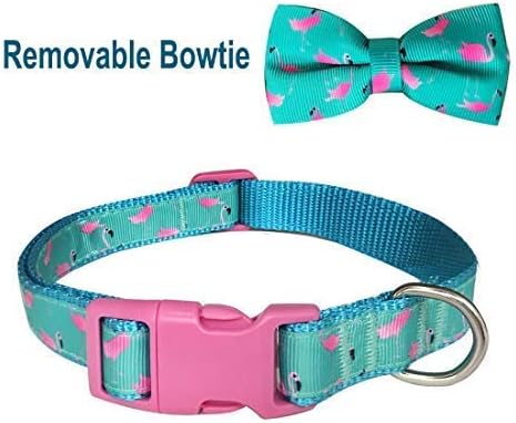 azuza Bowtie Dog Collar - Soft & Comfy Dog Collar with Bow, Fun Patterns & Bright Color for Small Dogs