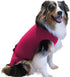 SurgiSnuggly Dog Surgical Recovery Suit, Cone Alternative Onesie for Female Spay or Male Neuters, Small to Large