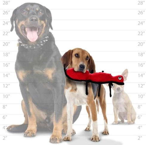 TUFFY - World's Tuffest Soft Dog Toy - Desert Ant - Squeakers - Multiple Layers. Made Durable, Strong & Tough. Interactive Play (Tug, Toss & Fetch). Machine Washable & Floats (Regular)