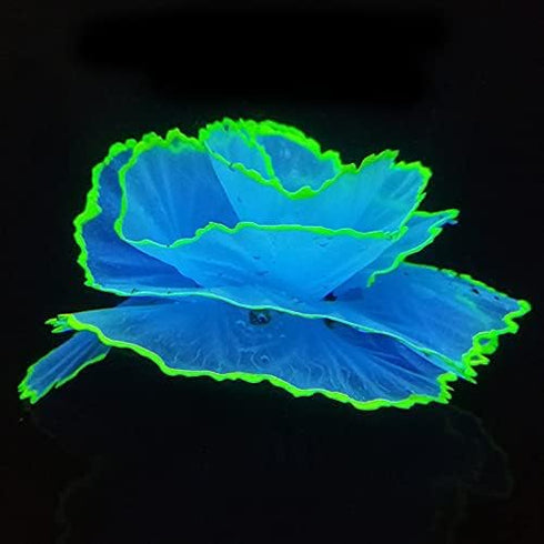 Glowing Silicone Aquarium Ornaments - Artificial Simulation Strip Coral Plant Decorations (Blue)