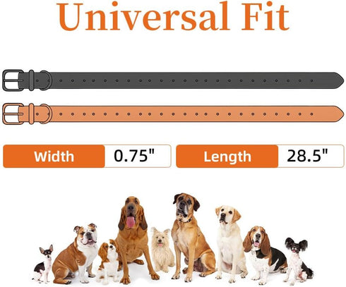 27 ½” X ¾” Replacement Dog Collar Strap Band, 2-Pack for Pet Training, Variety of Colors & Reflective Choices