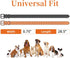 27 ½” X ¾” Replacement Dog Collar Strap Band, 2-Pack for Pet Training, Variety of Colors & Reflective Choices