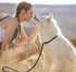 Adjustable Traction Collar Behavior Aids, Black Dog Leash Pet Nylon Rope Training Slip Lead Strap
