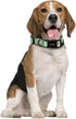 Ihoming Dog Collar and Leash Set for Daily Outdoor Walking, Floral GreenLake Design for Medium Dogs, M-Up to 45LBS
