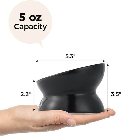 Elevated Cat Food Bowl, 5 Oz Ceramic Raised and Tilted Water Bowl, Anti Vomiting and Protect Pets' Spines Dishes for