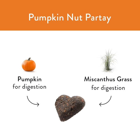 Shameless Pets Pumpkin Nut Par-Tay Soft-Baked Biscuit, 6 OZ