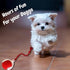 AUTRETY 2025 Toy,360 New Electric Dog Ball Smart Automatic Interactive Rolling Dog Ball, Smart Pet Toy Ball,Interactive