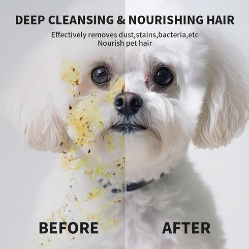 Pet Glove Wipe, Cleaning Glove for Dog and Cat, Fur Face, Ear, Eye, Paws Cleaning Wipes, 6PCS