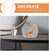 POPETPOP Clear Glass Fish Bowl, Small Goldfish Bowl Vase for Office Decor, Unbreakable Wide Bubble Terrarium