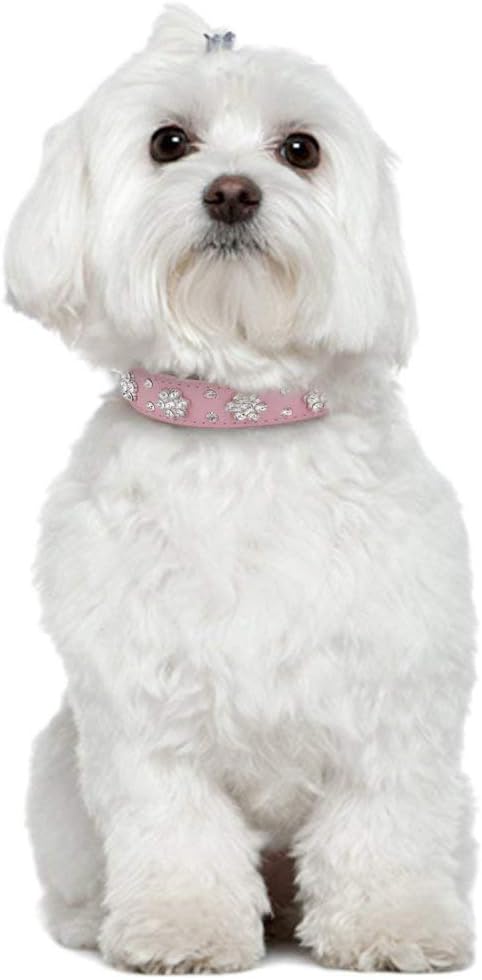 Rhinestone Dog Collar, Cute Flower Bling PU Leather Collar, Adjustable Sizes for Small Medium Large Dogs (M, Pink)