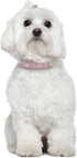Rhinestone Dog Collar, Cute Flower Bling PU Leather Collar, Adjustable Sizes for Small Medium Large Dogs (M, Pink)