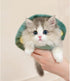 Cute Cat Costumes Turtle Shell Kawaii Kitten Clothes, Dog Puppy Vest Pet Apparel (Small, Turtle Shell)