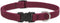 LupinePet Eco 3/4" Berry Adjustable Collar for Medium and Larger Dogs, 13-22"