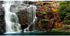 AWERT 36x24 inches Waterfall Terrarium Background, Tropical Aquarium Mountain Lake Reptile Habitat