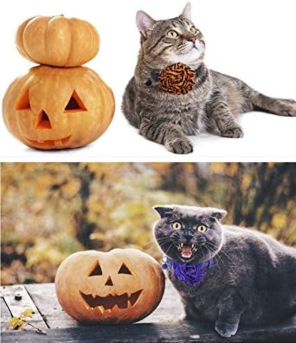 BoomBone Halloween Dog Collar Accessory - Flower Charms Sliders for Holiday Dog Collars