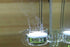 CO2 Diffuser Glass Reactor with U Shape Connecting Tube for Pollen Aquarium Plants Tank