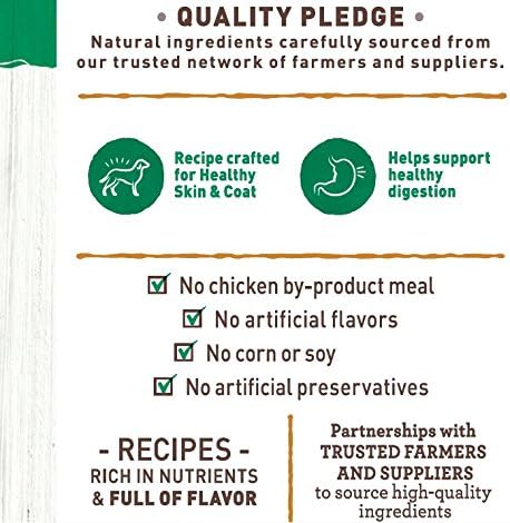 NUTRO PREMIUM LOAF Adult Natural Grain Free Wet Dog Food, Turkey, Sweet Potato & Green Bean Recipe, 12.5 oz Cans