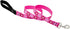 LupinePet Originals 1" Puppy Love Padded Handle Leash, 4-foot for Medium and Larger Dogs