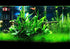 Aquatic Discounts 5-6 BUY2GET1! Java Fern Mature, Healthy, Super Easy Live Aquarium Plant in. Great for Betta Guppy