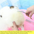 HASHIMOTO Curved Scissors for Large Dog Grooming, 8.0 inches, Professional Groomers or Family DIY Use