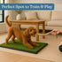 16x20 inch Artificial Grass Puppy Pad with Tray | Reusable Indoor & Outdoor Dog Potty Training Mat System | Washable