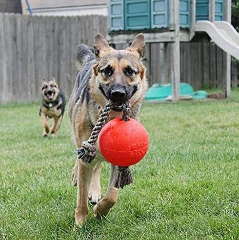 Jolly Pets Romp-n-Roll Dog Toy, Orange, 6", Model Number: 788169060645