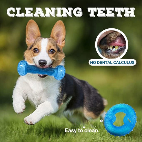 Puppy Chew Toys for Teething Puppies - 2 Pack Freezable Natural Rubber Toys for Small & Medium Dogs, Protects Oral