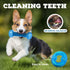 Puppy Chew Toys for Teething Puppies - 2 Pack Freezable Natural Rubber Toys for Small & Medium Dogs, Protects Oral