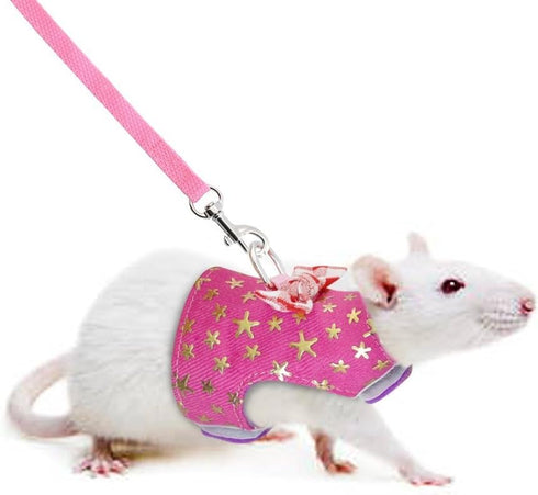 CheeseandU Small Pet Outdoor Walking Harness Vest and Leash Set with Cute Bowknot Decor for Rat Ferret