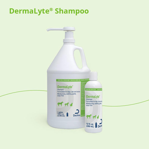 DermaLyte 12 Shampoo, Ounce