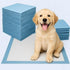 Generic 50 Count, 2222 5-Layer Pet Potty Training Pads for Cats & Dogs Super-Absorbent Leak-Proof, Quick-Dry Surface