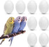WOLEDOE 8Pcs Fake Bird Eggs, Stop Egg Laying fit Parrotlet, American Parakeet, Budgie,