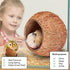 SunGrow Coconut Shell House for Gecko, Snake & Ball Python, Raw Coco Husk Pet Hiding House