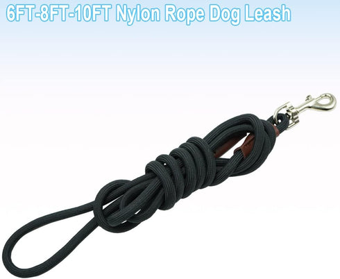 Small Dog Leash | 1/4" by 6/8/10 FT Lightweight Strong Nylon Rope | Bright Classic Leash for Small Pets