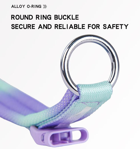 Fashionable Gradient Dog Collar in Macaron & Dopamine Shades, Breathable Mesh Padding, Durable POM Buckle, Blue XS