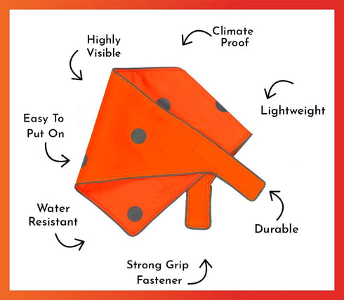 SPOT THE DOG! Reflective Dog Bandanas - High Visibility Safety Dog Accessories for Small, Large Dogs, Orange Collar
