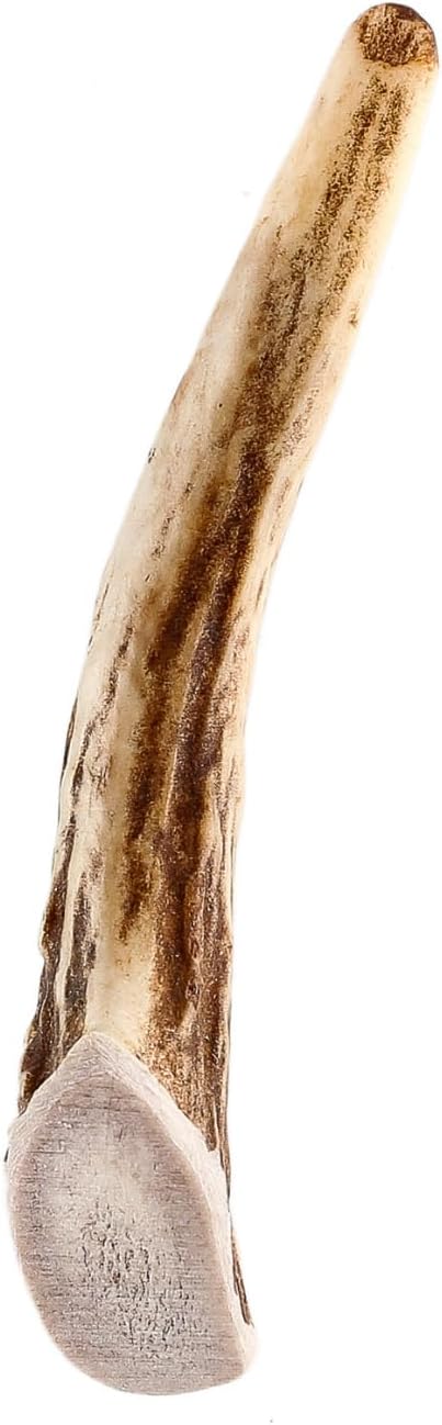 Pet Parents Gnawtlers Premium Deer Antlers for Dogs, All Natural Chew, Naturally Shed from Heartland Region (Small, 1