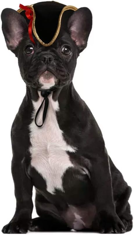 BinaryABC Halloween Pet Pirate Hat,Halloween Pet Dog Cosplay Costume Accessory Photo Props,15 x 11 x 5.5cm