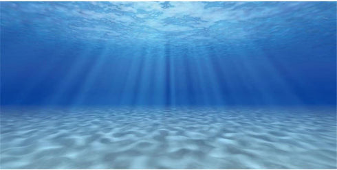 AWERT Undersea Aquarium Background, 48x20 Inches Sunshine Underwater Ocean Floor Fish Tank Polyester Background