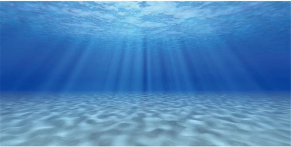AWERT Undersea Aquarium Background, 48x20 Inches Sunshine Underwater Ocean Floor Fish Tank Polyester Background